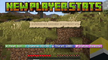 New player stats