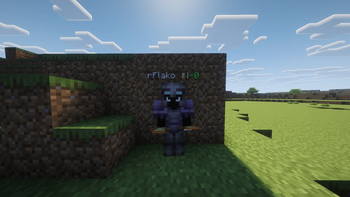 Totem Counter on other player nametags