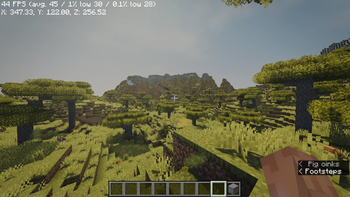 Open area