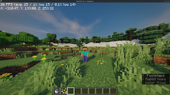 Steve when shader was under unoptimized development
