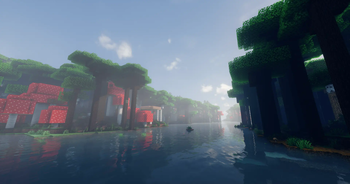 Mushroom Forest