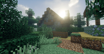 Abandoned Home