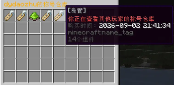 读取其他玩家称号仓库