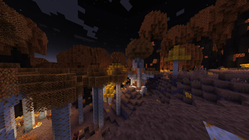 Fiery Forest