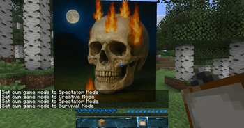 Skull