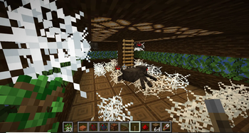Cobweb Spawning