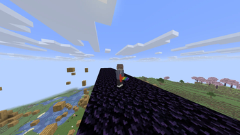 with resourse pack