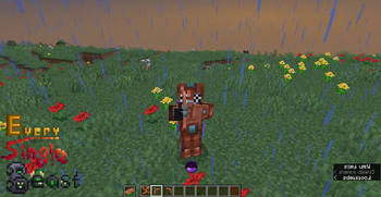 Copper Items