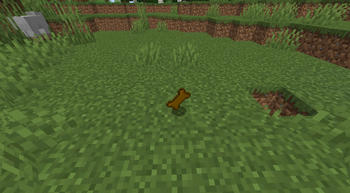 Dog Treat
