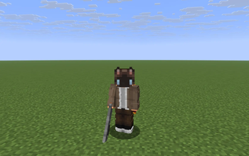 Third-person view