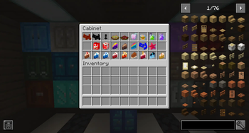 Items