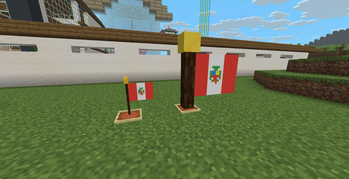 VJ's FLAGS — screenshot 2
