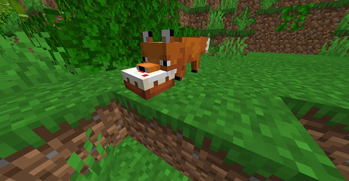 Fox Cakes????