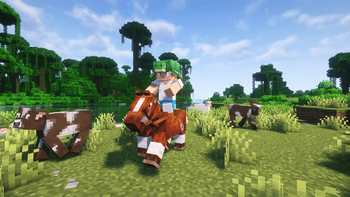 Overworld Visuals Enhanced!