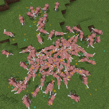 100 wolves