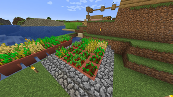 No More Weeds