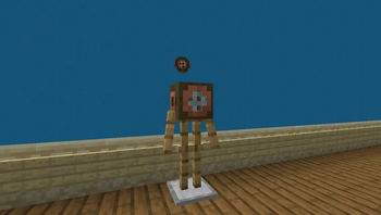 turtle helmet (not very turtley)