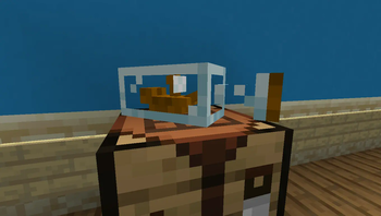 mace is a ship in a bottle!