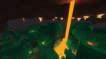 Warped Forest Overhead