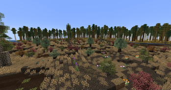 A Lowland Bog Biome