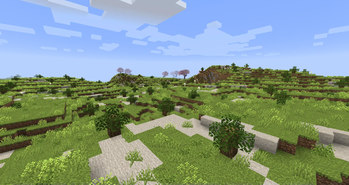 The Simple Yet Beautiful Chaparral Biome