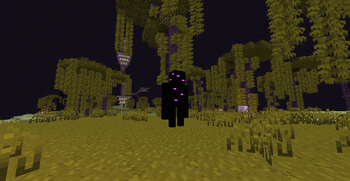 End Wilds