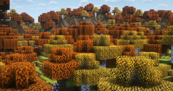 A Forest with Complimentary Shaders