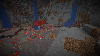 Mushroom Cave