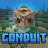 Conduit