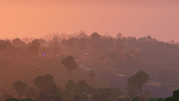 Village