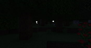 Quick Lights