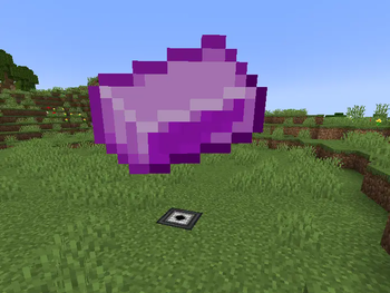 Display Block, displaying an Item