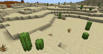 cactus blocks