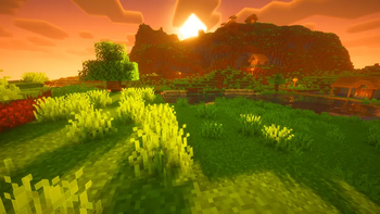 Sunrise