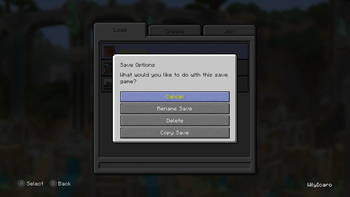 Save Options screen