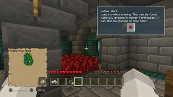 Nether Wart hint