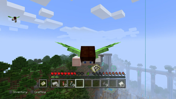 Elytra Flight Pose