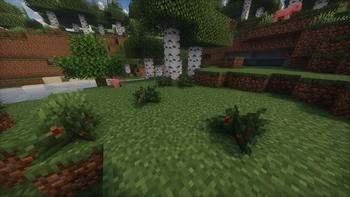 Strawberry Bush