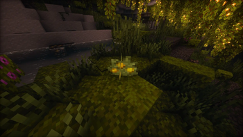 Glowing Bush