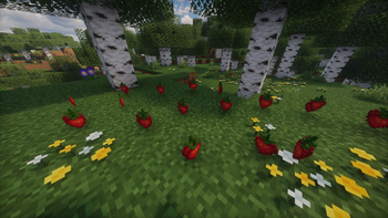 STRAWBERRIES!