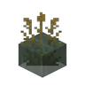 Reeds