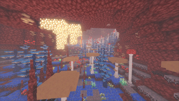 very cool nether biome