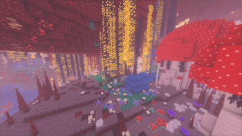 another cool nether biome