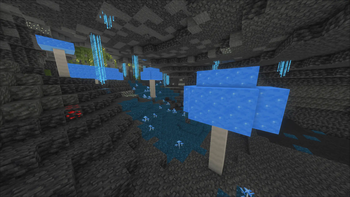 a cave