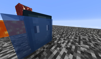 Squid