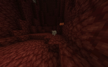 Skeledog In Habitat