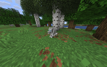 Tamed Skeledog