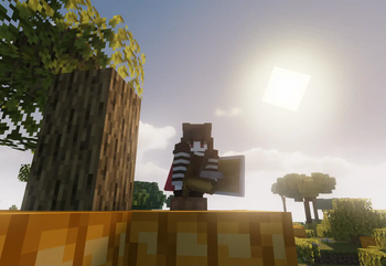 Enable shaders for stunning lighting and shadows