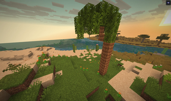 Palm Tree in Oasis