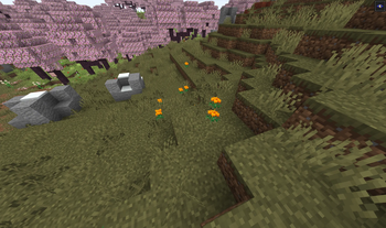 Marigolds in Tundra
